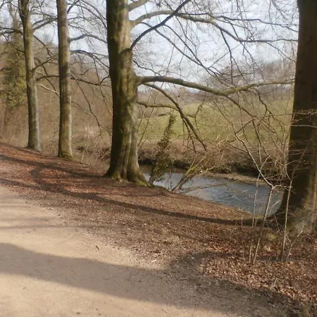 Heynen